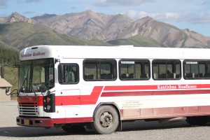 I bus che si usano nel parco