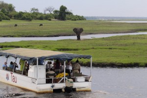 Safari sul Chobe
