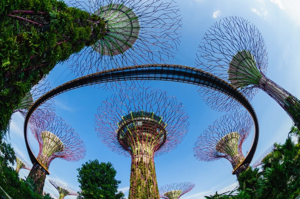 Supertrees di Gardens by the Bay - Singapore